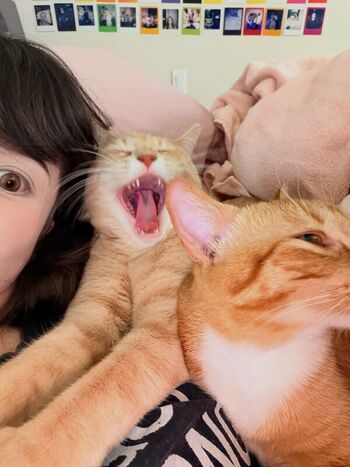 Emiru  page leaked private photo uncensored HD quality