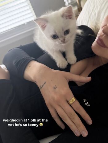 Hailey malles leaked private photo uncensored HD quality