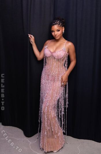 Halle bailey leaked private photo uncensored HD quality